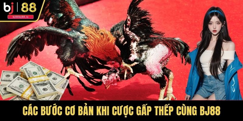 Các bước cơ bản khi cược gấp thếp cùng BJ88