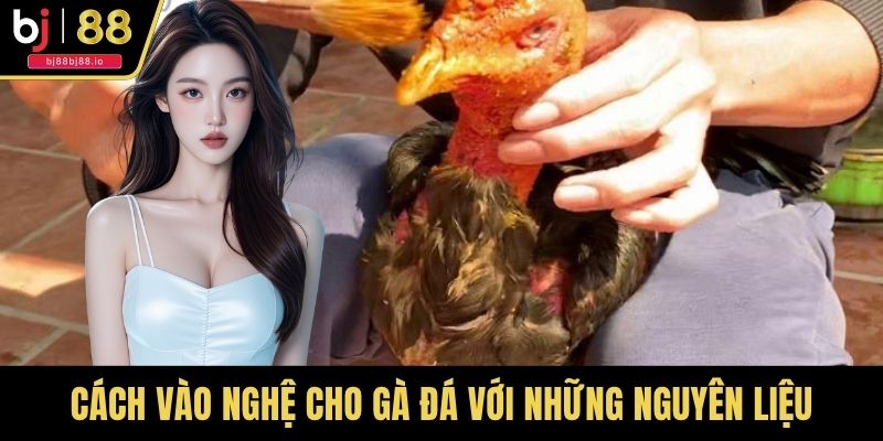 Cách vào nghệ cho gà đá với những nguyên liệu thiên nhiên