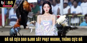 Đá Gà Cựa Dao BJ88 Sát Phạt Nhanh, Thắng Cực Đã