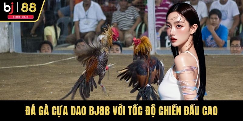 Đá gà cựa dao BJ88 với tốc độ chiến đấu cao