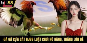 Đá Gà Cựa Sắt BJ88 Luật Chơi Rõ Ràng, Thắng Lớn Dễ