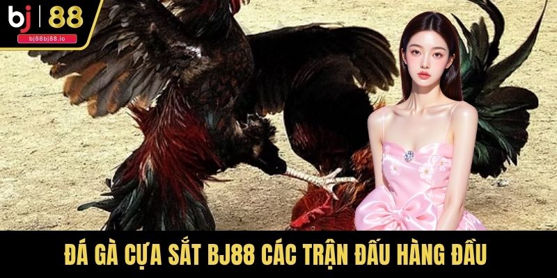 Đá gà cựa sắt BJ88 các trận đấu hàng đầu với chất lượng cao