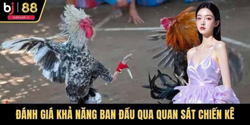 Đánh giá khả năng ban đầu qua quan sát chiến kê