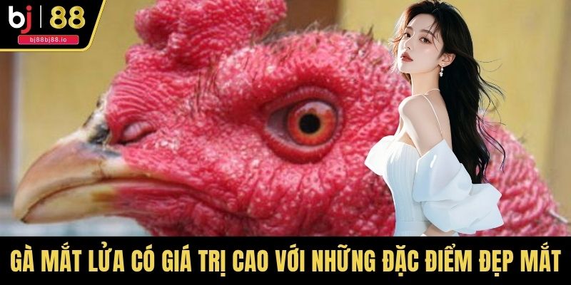 Gà mắt lửa có giá trị cao với những đặc điểm đẹp mắt