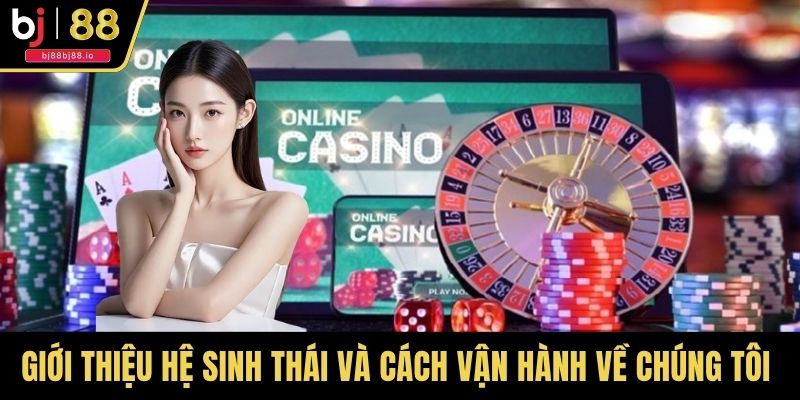 Giới thiệu hệ sinh thái và cách vận hành về chúng tôi 