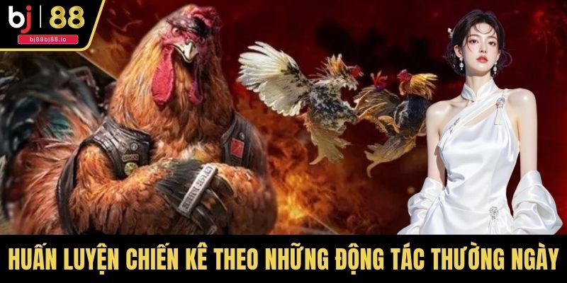 Huấn luyện chiến kê theo những động tác thường ngày