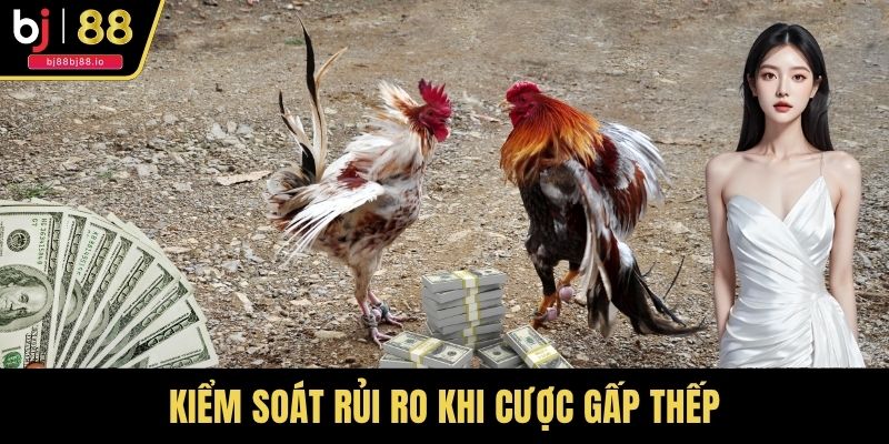 Kiểm soát rủi ro khi cược gấp thếp