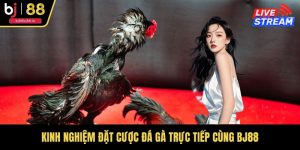 Kinh Nghiệm Đặt Cược Đá Gà Trực Tiếp Cùng BJ88