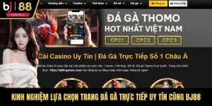 Kinh Nghiệm Lựa Chọn Trang Đá Gà Trực Tiếp Uy Tín Cùng BJ88