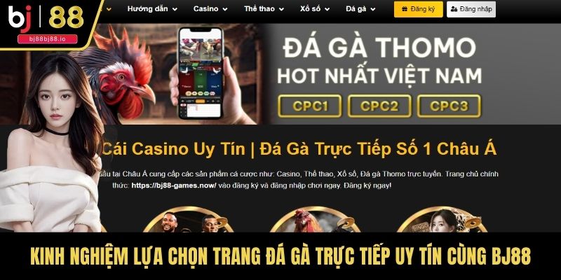 Kinh Nghiệm Lựa Chọn Trang Đá Gà Trực Tiếp Uy Tín Cùng BJ88
