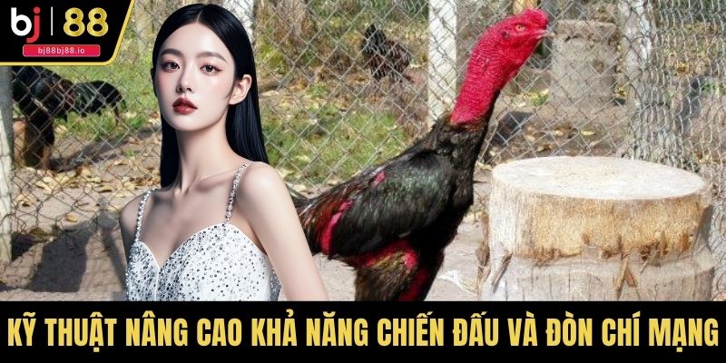 Kỹ thuật nâng cao khả năng chiến đấu và ra đòn chí mạng