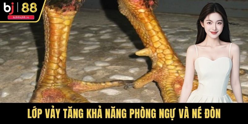 Lớp vảy tăng khả năng phòng ngự và né đòn