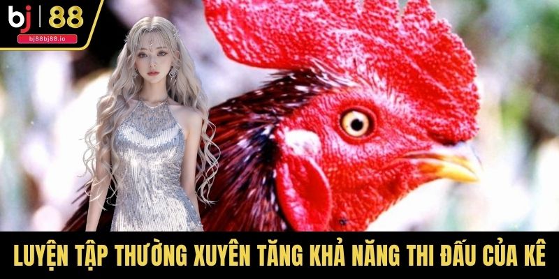 Luyện tập thường xuyên tăng khả năng thi đấu của kê