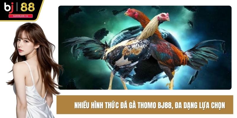 Nhiều hình thức Đá Gà Thomo BJ88, đa dạng lựa chọn