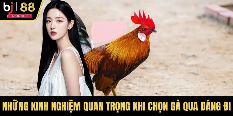 Những kinh nghiệm quan trọng khi chọn gà qua dáng đi