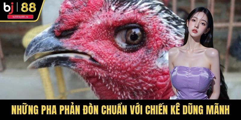 Những pha phản đòn chuẩn với chiến kê dũng mãnh