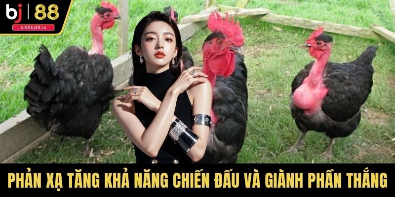 Phản xạ tăng khả năng chiến đấu và giành được phần thắng