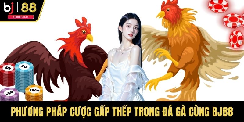 Phương Pháp Cược Gấp Thếp Trong Đá Gà Cùng BJ88 - Chiến Thuật Nhân Vốn An Toàn