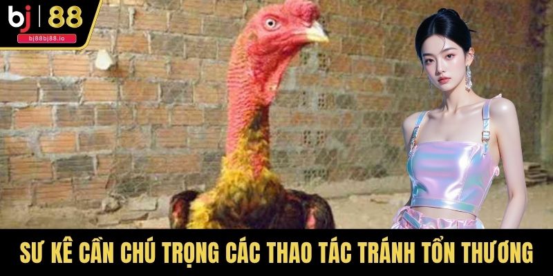 Sư kê cần chú trọng các thao tác tránh tổn thương