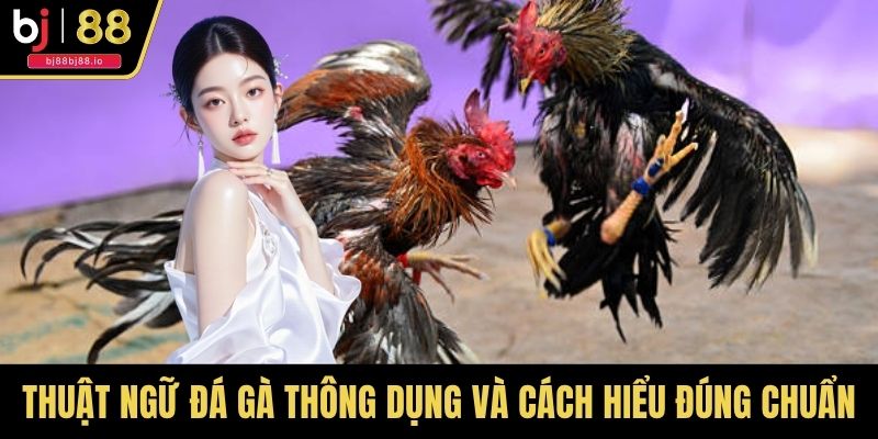 Thuật Ngữ Đá Gà Thông Dụng Và Cách Hiểu Đúng Chuẩn