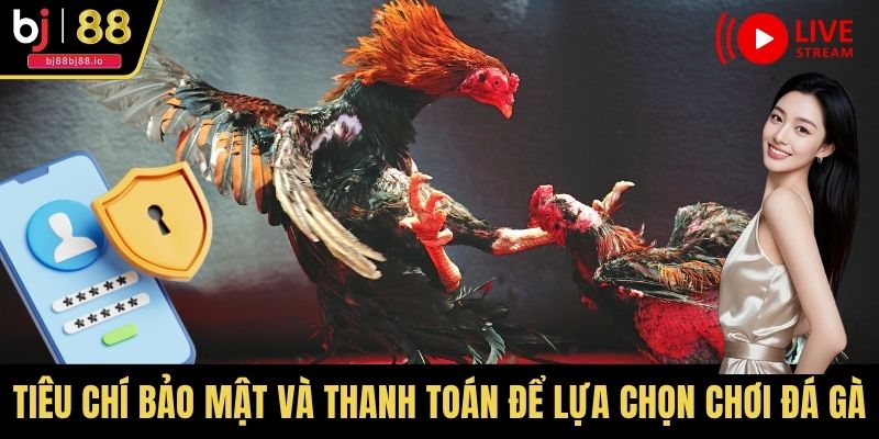 Tiêu chí bảo mật và thanh toán để lựa chọn chơi đá gà