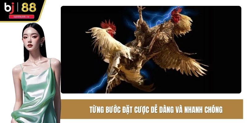 Từng bước đặt cược dễ dàng và nhanh chóng